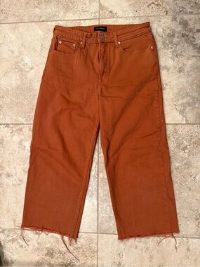 Free Assembly-Rust Wide Leg Cropped Jeans